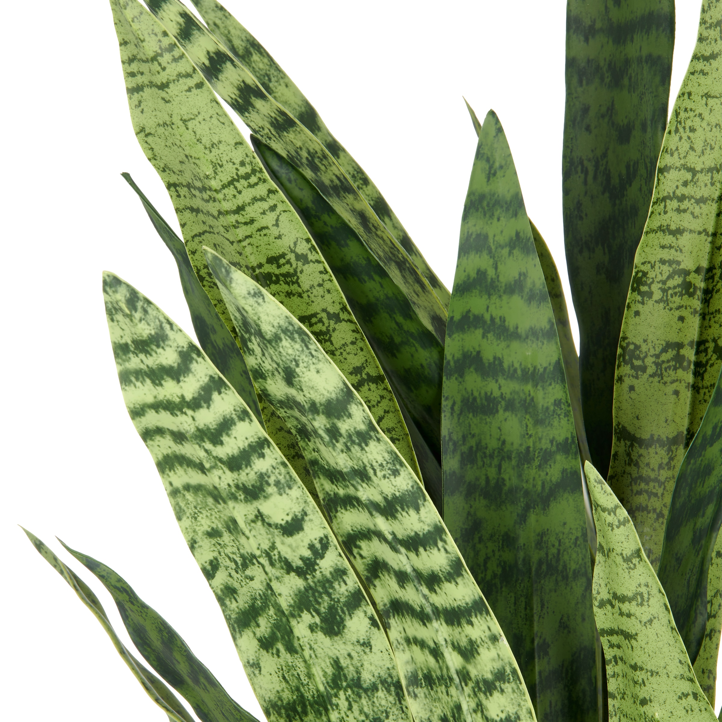 Creativ green Kunstpflanze »Sansevieria zeylanica« im eleganten Topf