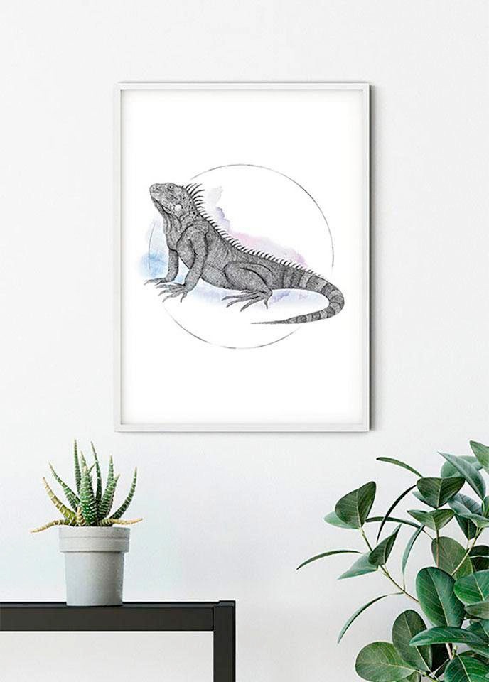 Komar Bild »Iguana Watercolor« Tiere 1 Stk. tlg. Wandbild zur Dekoration - ohne Rahmen