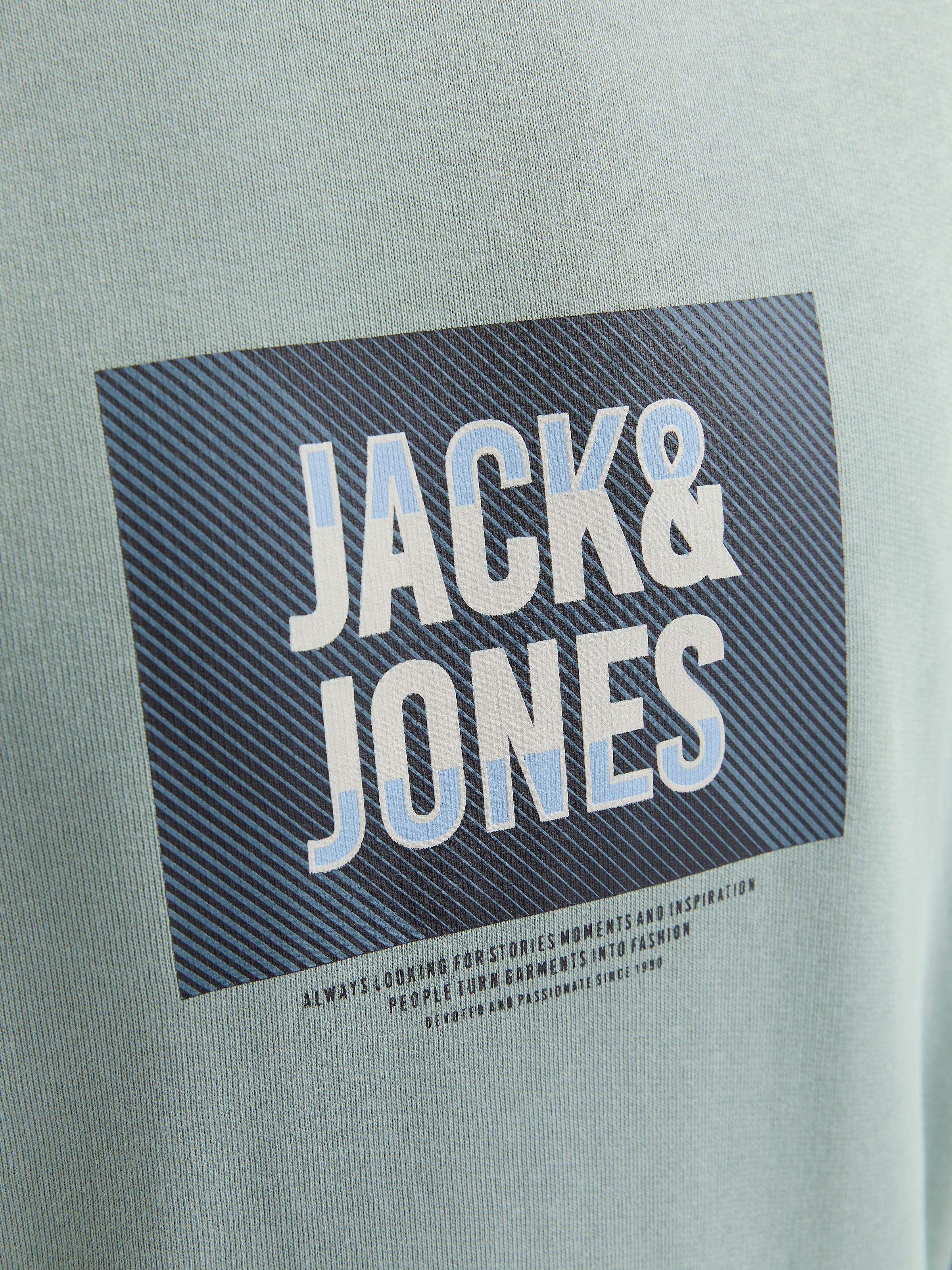 Jack & Jones Sweatshirt »JJHUDSON SWEAT CREW NECK«