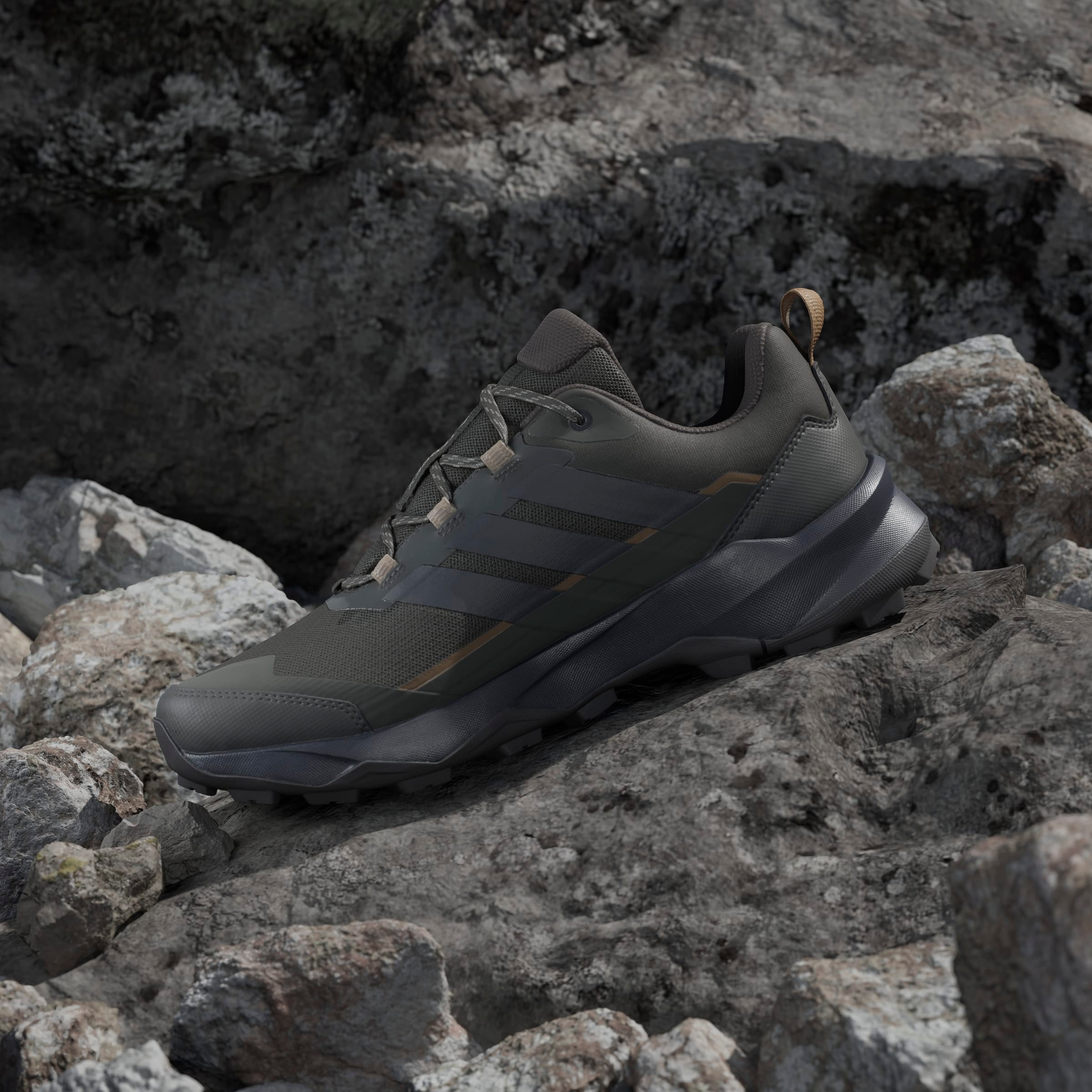 adidas TERREX Wanderschuh »SKYCHASER AX5«