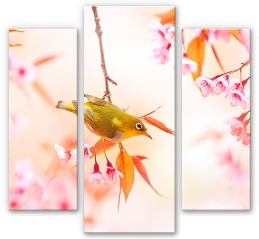WallArt Mehrteilige Bilder »Vogel und Kirschblüte (3teilig)«, (Set, 3