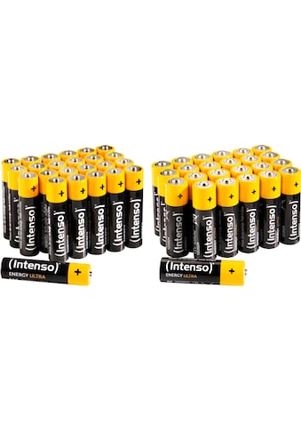 Intenso Batterie »48er Pack Energy Ultra AA LR6 + AAA LR03«, (Set, 48 St.) kaufen