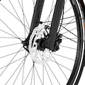 FISCHER Fahrrad E-Bike »VIATOR 6.0i Damen 504«, 10 Gang, (mit Akku-Ladegerät-mit Werkzeug)