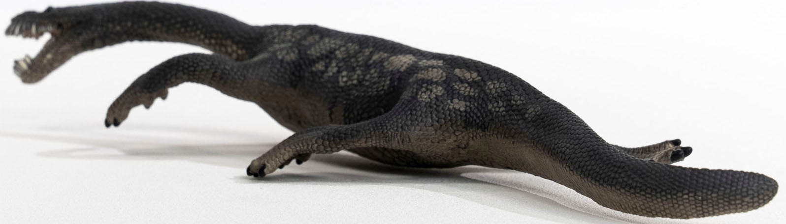 Schleich® Spielfigur »DINOSAURS, Nothosaurus (15031)«