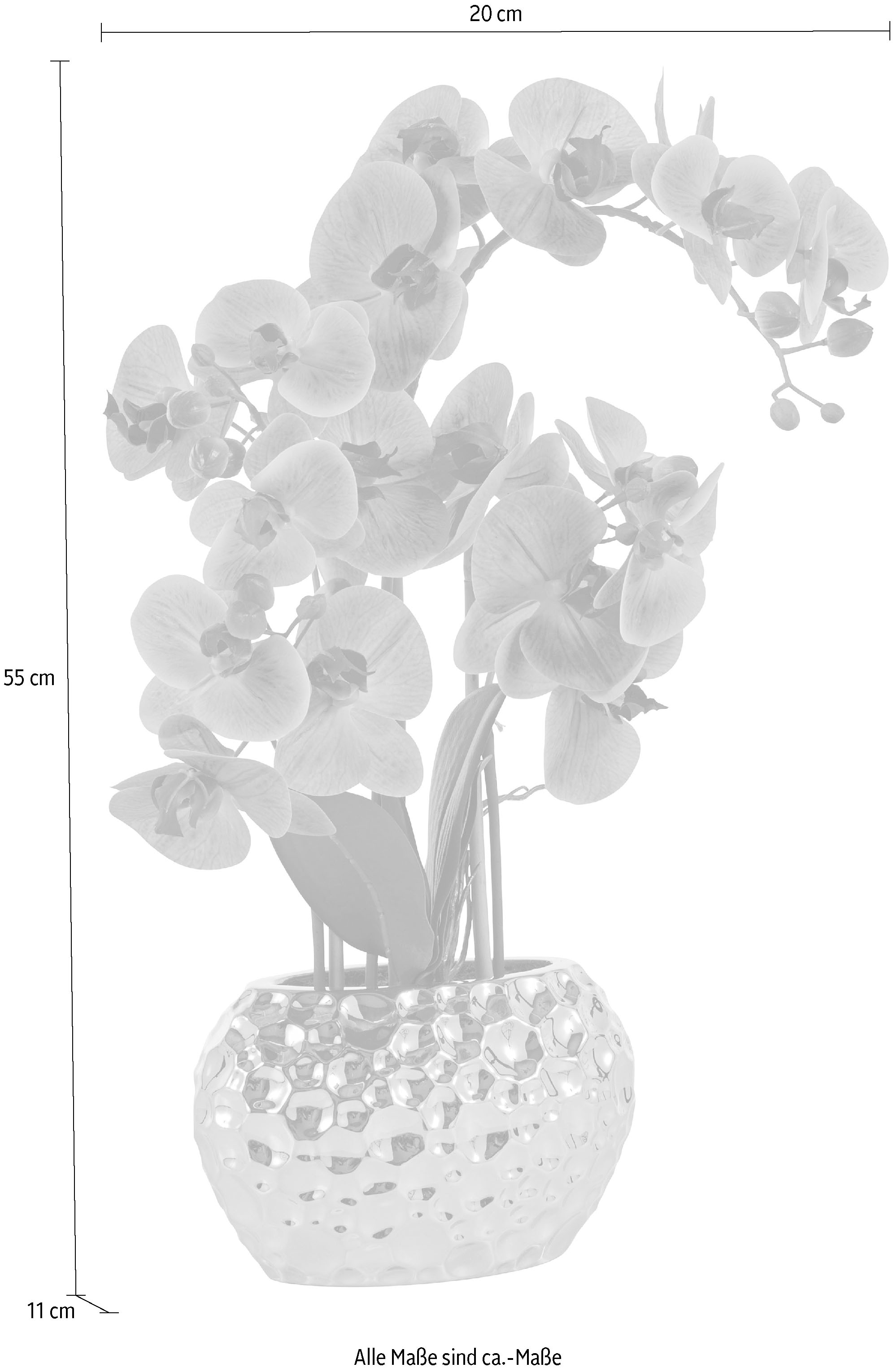 3 online »Orchidee«, | Kunstorchidee, im Leonique Jahren mit Topf Kunstpflanze Garantie kaufen XXL