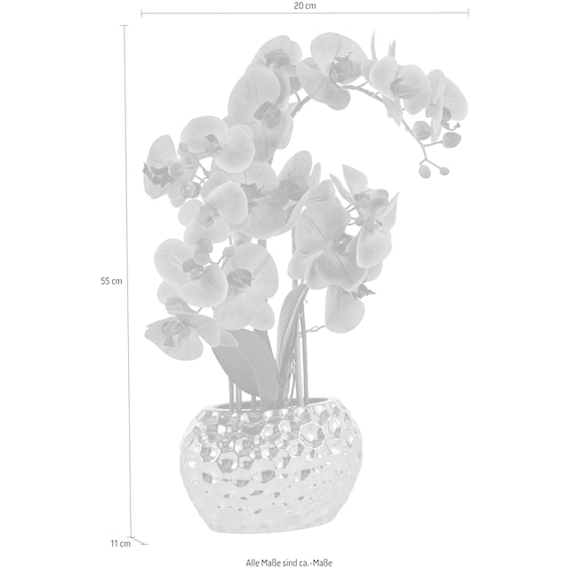 »Orchidee«, Jahren 3 kaufen | Kunstorchidee, XXL online Leonique Kunstpflanze Topf mit Garantie im