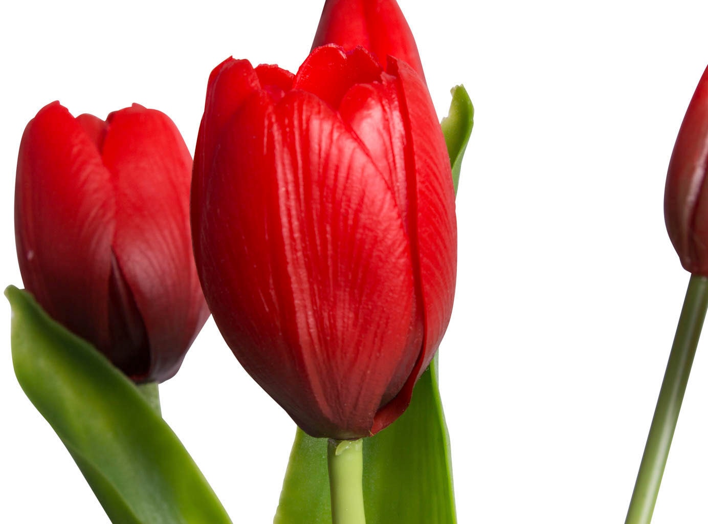 my home Kunstblume »Tulpenbündel Holland real Touch«