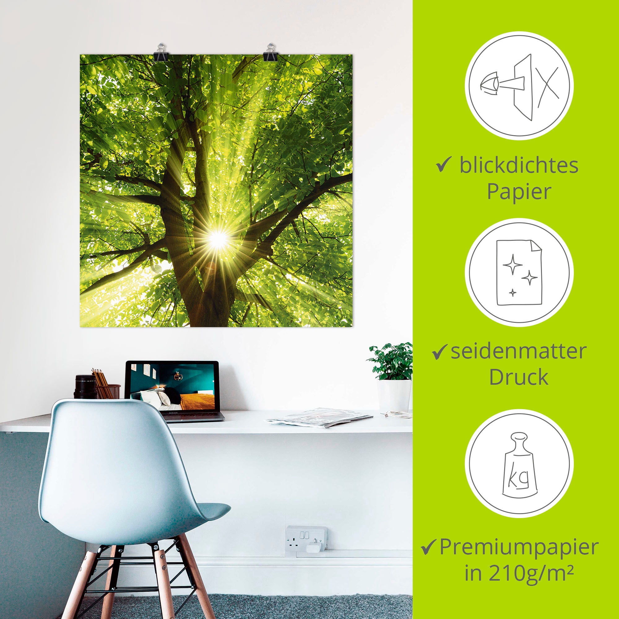 Artland Wandbild »Sonne strahlt explosiv durch den Baum« Bäume 1 Stk. tlg. als Leinwandbild, Poster in verschied. Größen