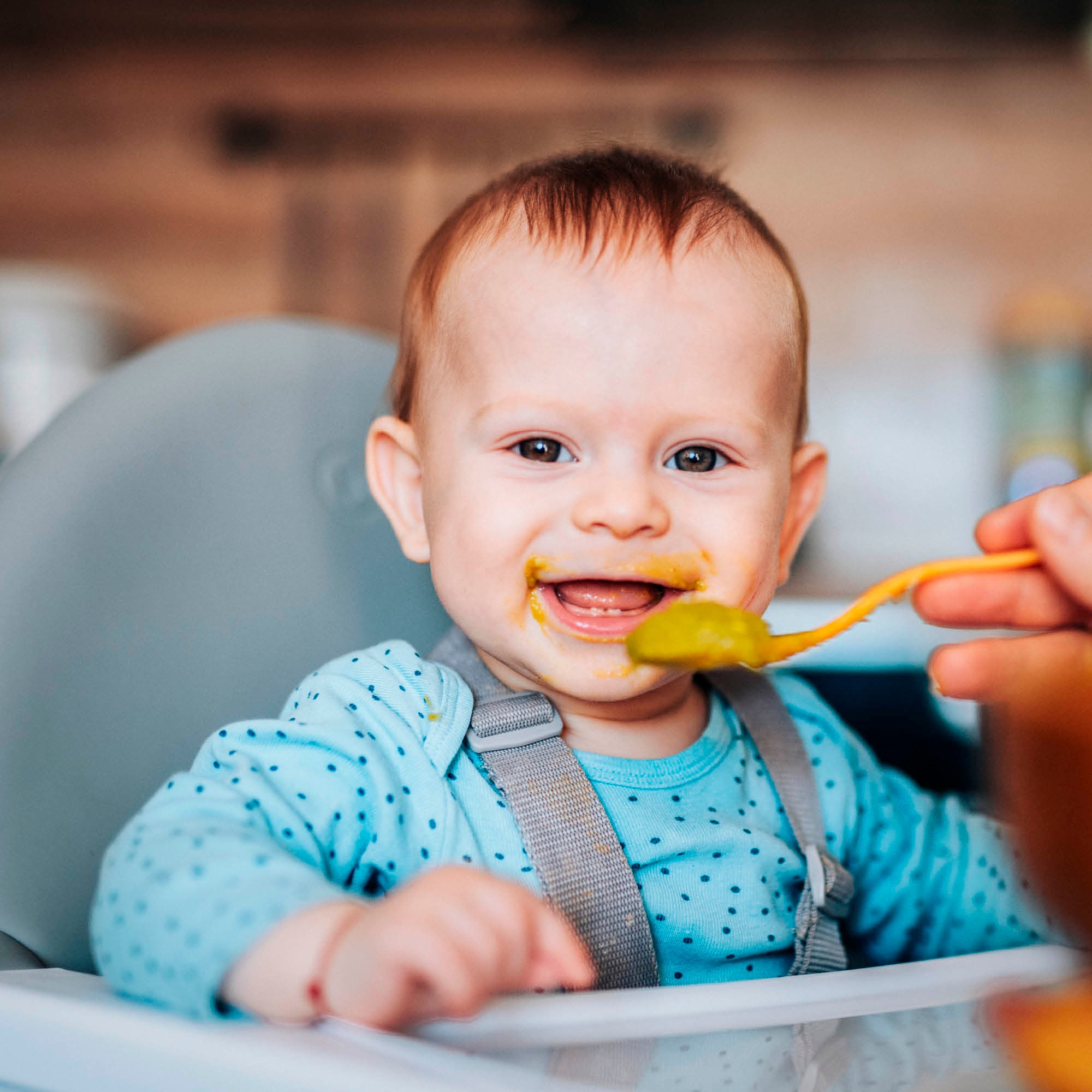 BabyGo Hochstuhl »Scandi - wood«