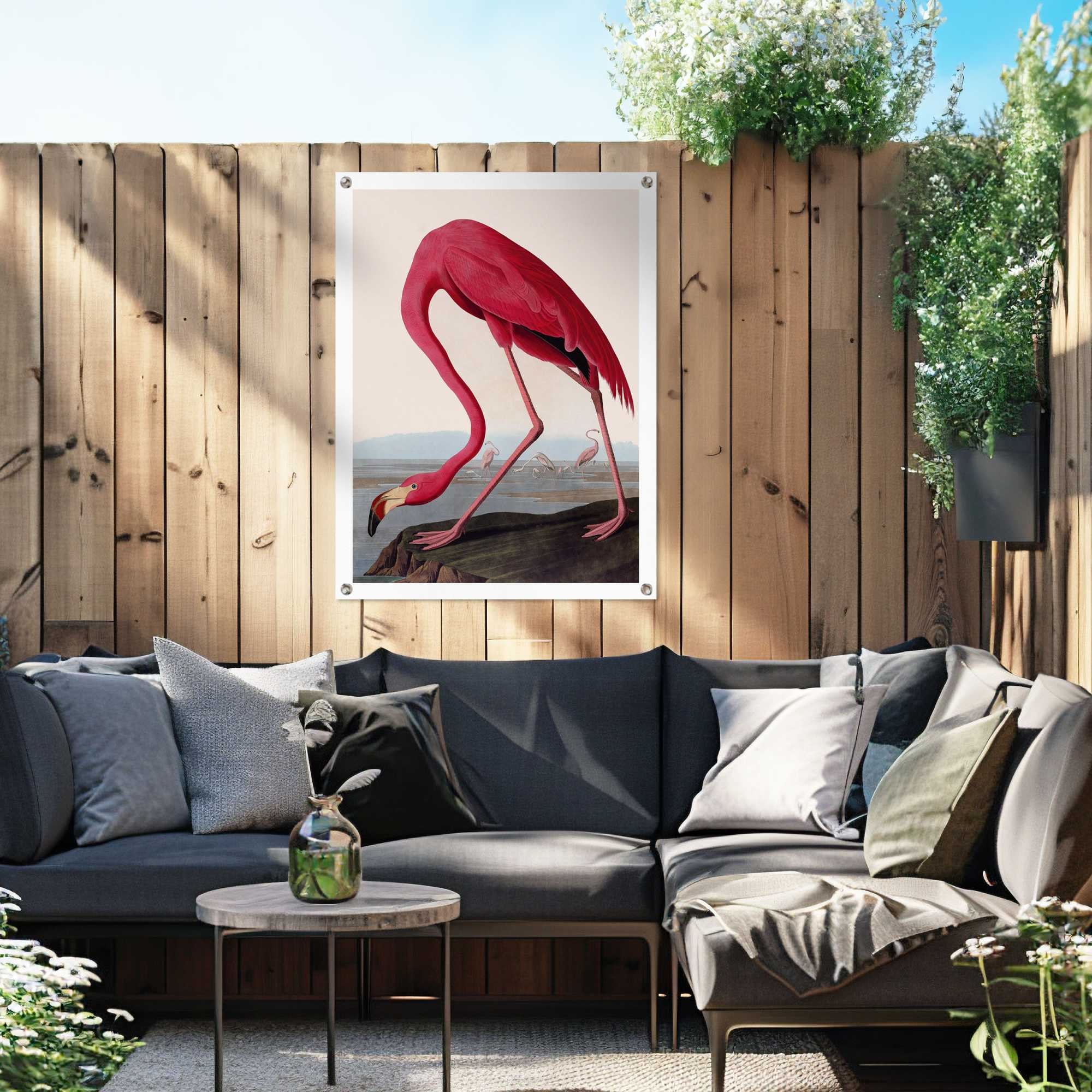 Reinders! Poster »Audubon Flamingo« Garten - Rosa - Leinwand - Tiere - 60x80 cm