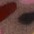 Bunt