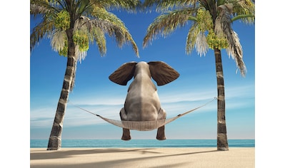 Papermoon Fototapete »Elefant auf Hängematte an Strand«, Vliestapete, hochwertiger... kaufen