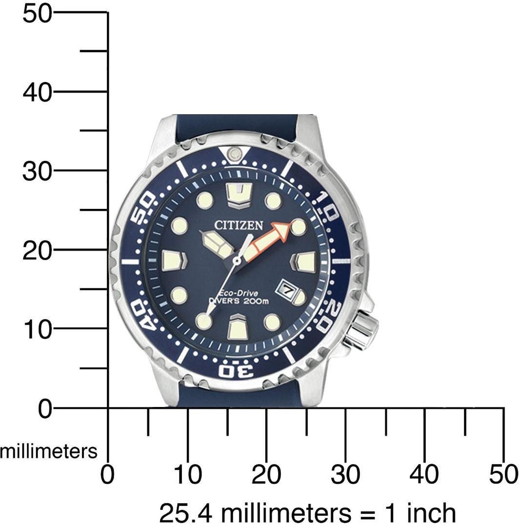 Citizen Taucheruhr »Promaster Marine Eco-Drive Diver 200m«, Armbanduhr, Damenuhr, Solar, bis 20 bar wassserdicht, Datum