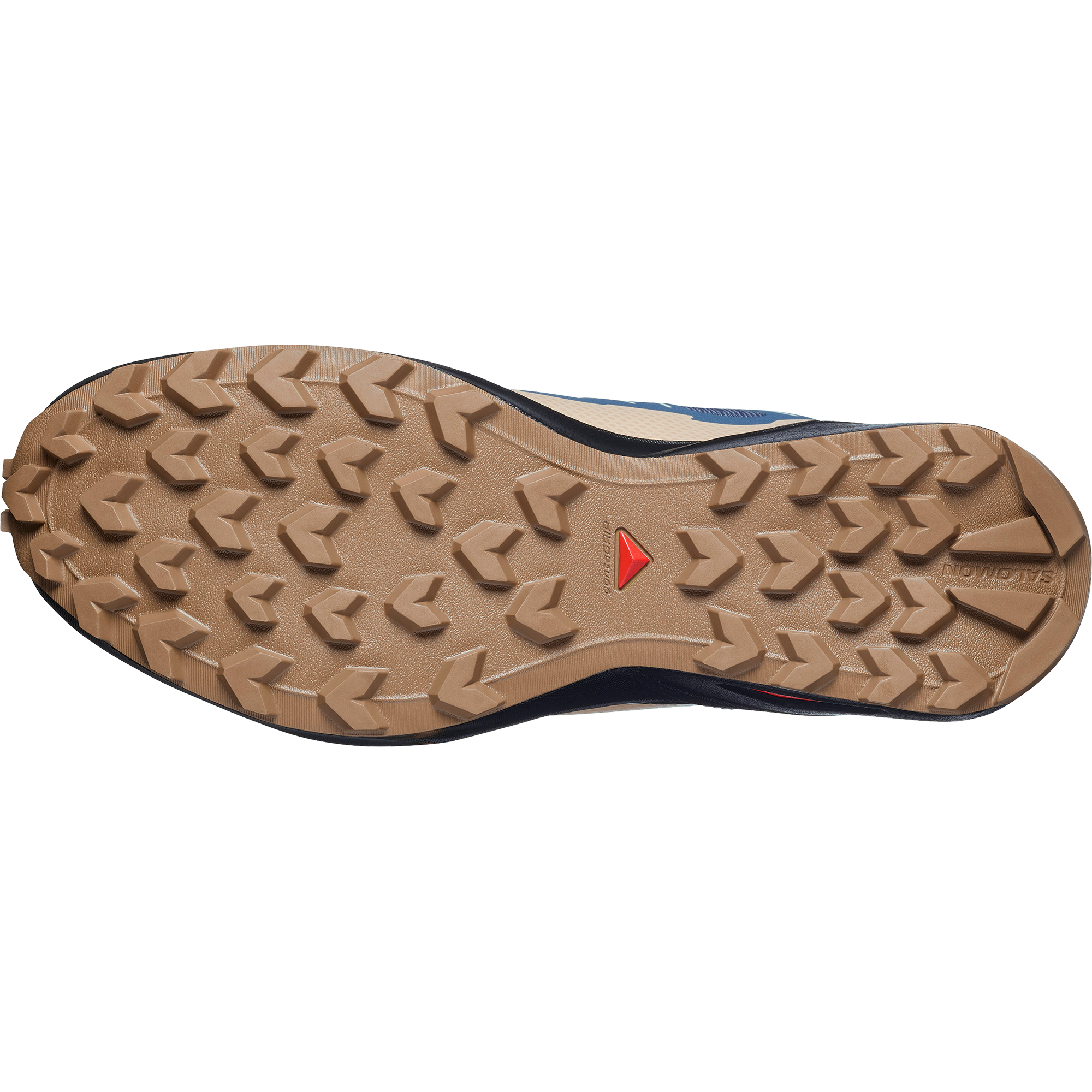 Salomon Trailrunningschuh »SPEEDCROSS PEAK GTX«  wasserdicht