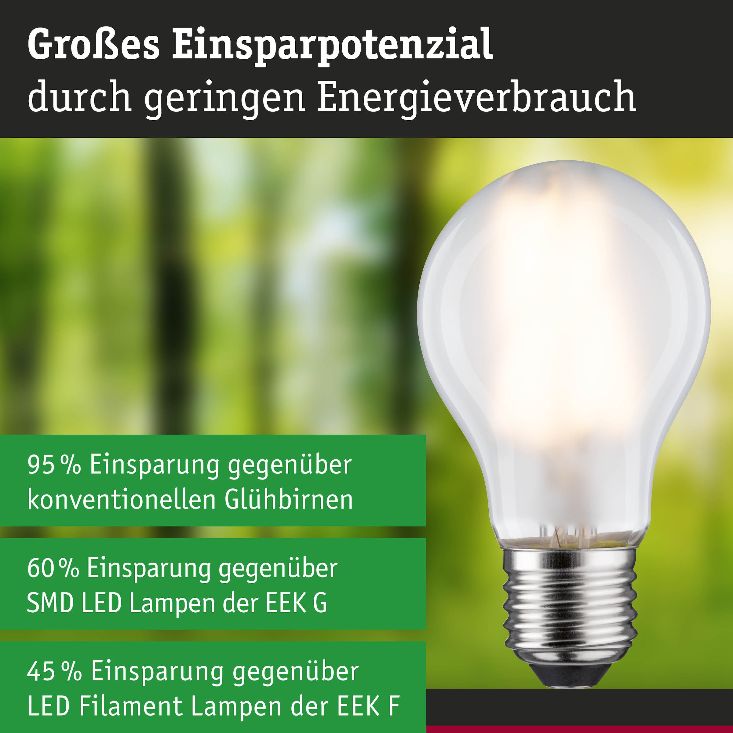 Paulmann LED-Leuchtmittel »Efficient-Line Filament 230V LED Birne E27 1 St. 525lm 2,5W 3000K Matt« E27 1 Stk. Warmweiß