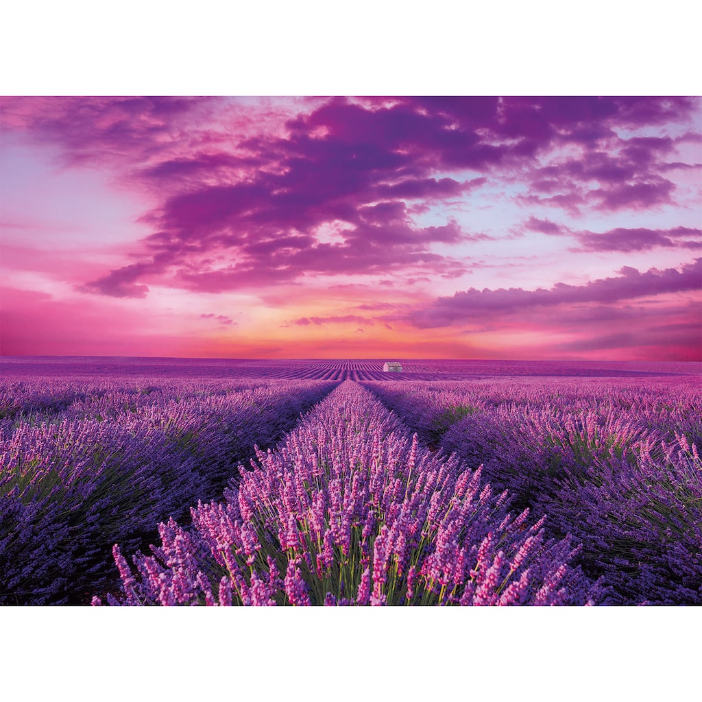 Clementoni® Puzzle »High Quality Collection, Lavendel-Feld«