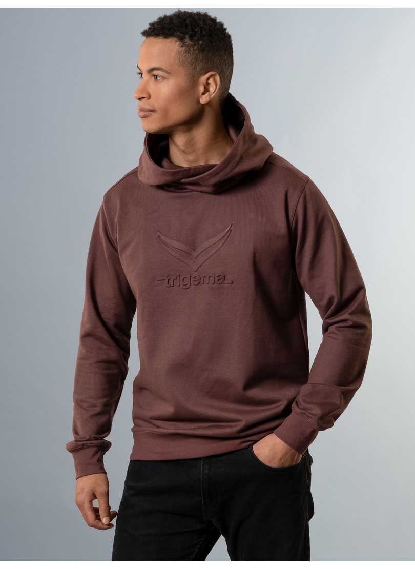 Trigema Kapuzensweatshirt »TRIGEMA Kapuzenpullover mit großem 3D-Motiv«