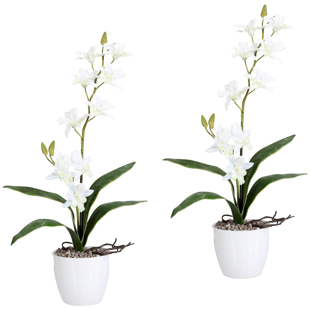 Creativ green Kunstpflanze »Orchidee Dendrobie«