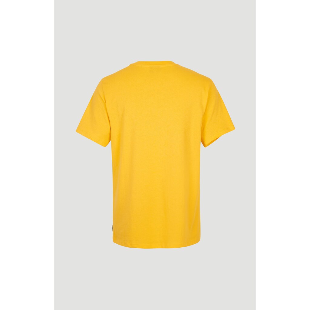 O'Neill T-Shirt »"SUNRISE"«