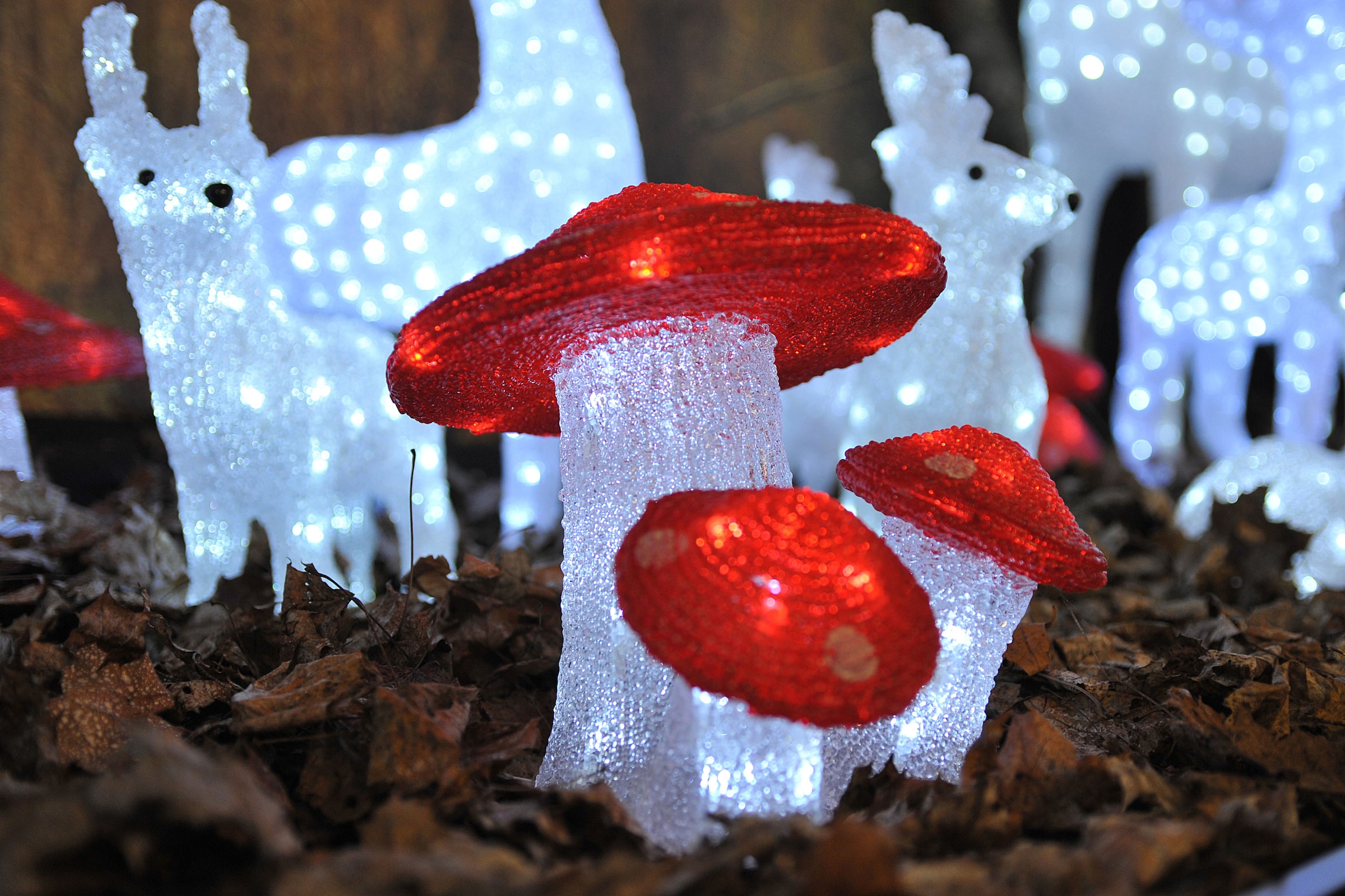 KONSTSMIDE Weihnachtsfigur »Weihnachtsdeko 3er-Set, Raten Dioden bestellen weiße LED auf 48 Acryl Fliegenpilz, kalt aussen«
