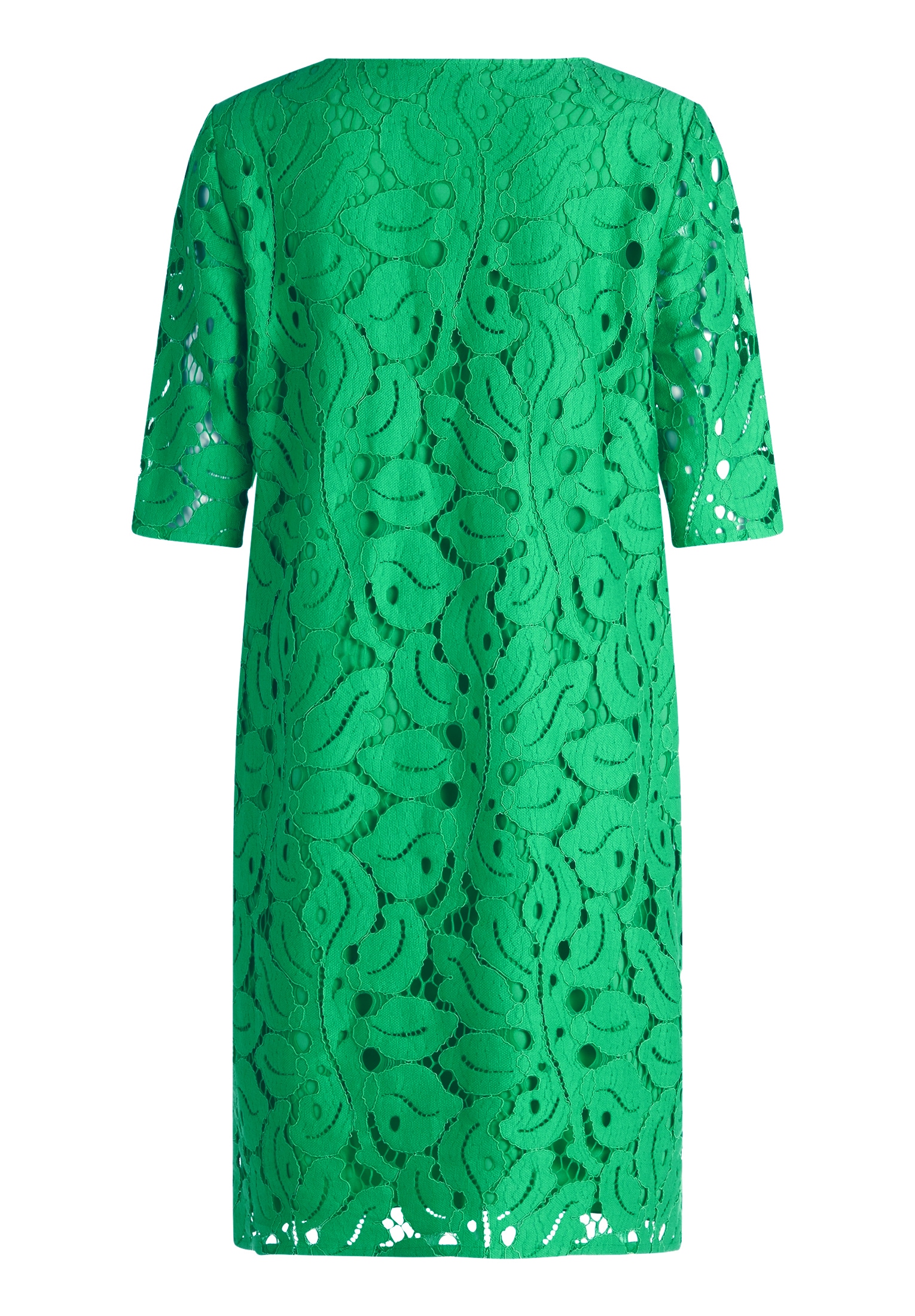 Betty Barclay Spitzenkleid »Spitzenkleid mit V-Ausschnitt«