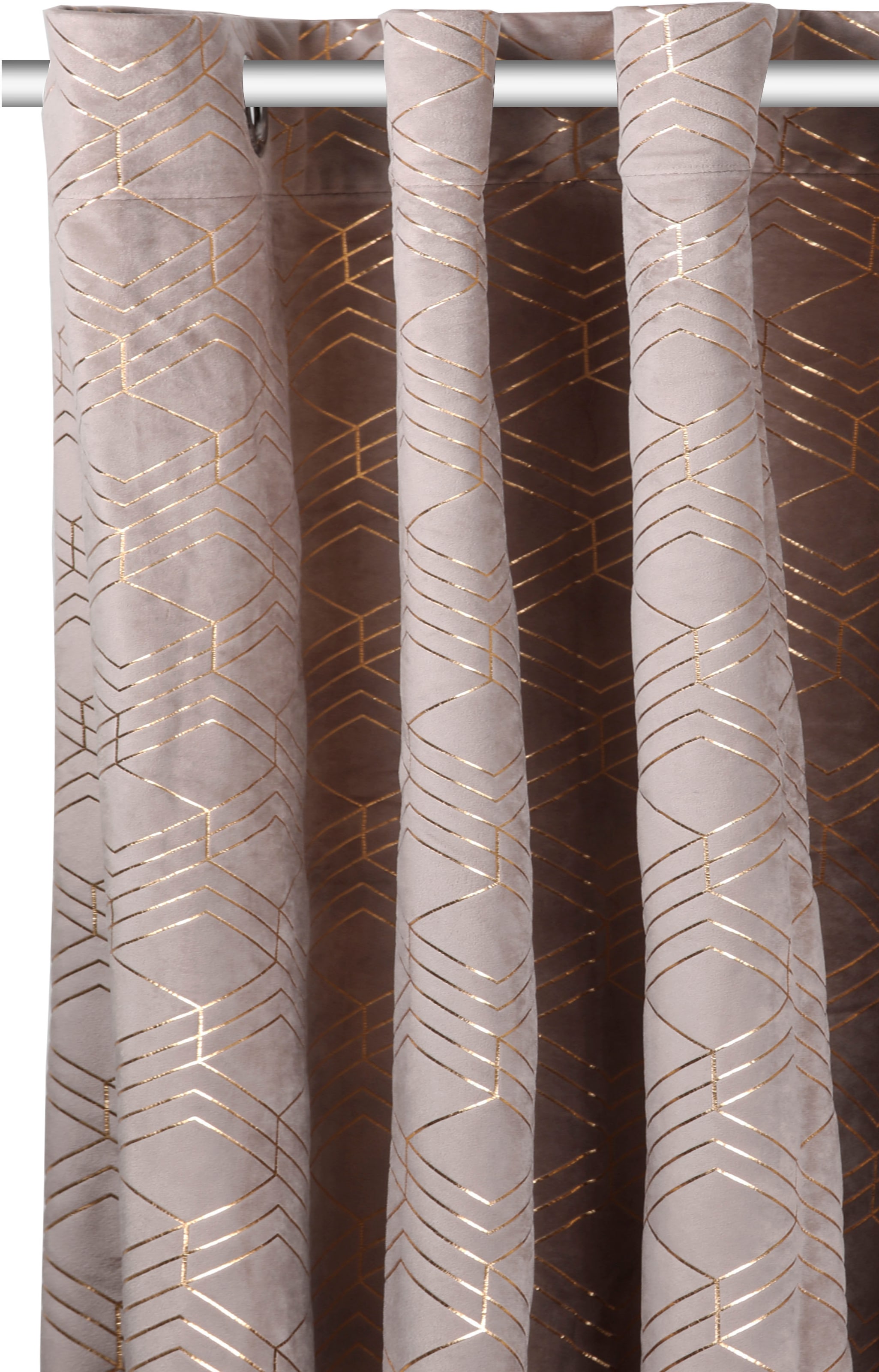 my home Vorhang »Velvet Foil«, (2 St.), Samt online kaufen