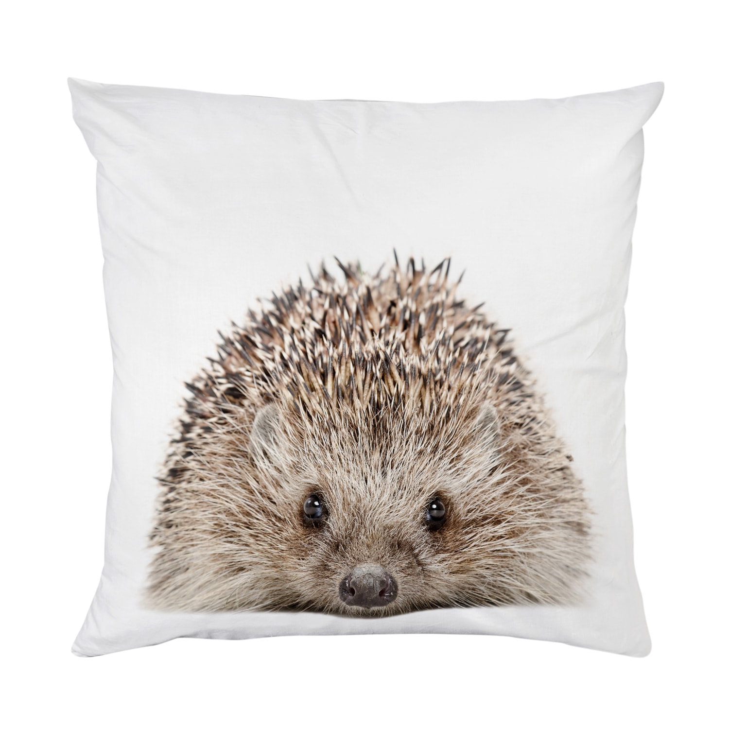 queence Dekokissen »Igel«, Kissenhülle mit HD Premium Druck, geruchsneutral, 40x40cm