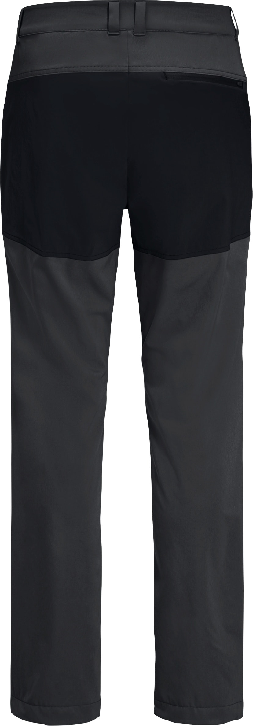 Jack Wolfskin Trekkinghose »HIKING ALPINE PANTS M«