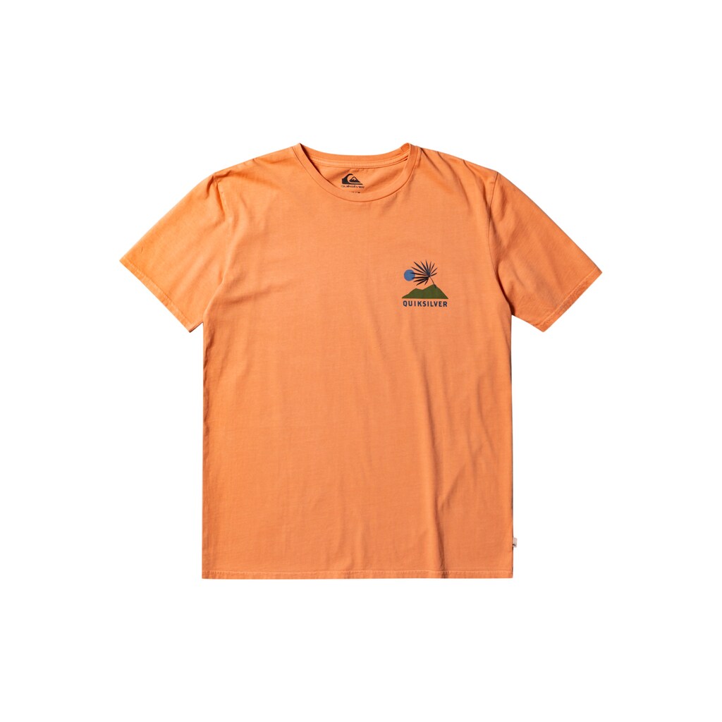 Quiksilver T-Shirt »New Tribe«