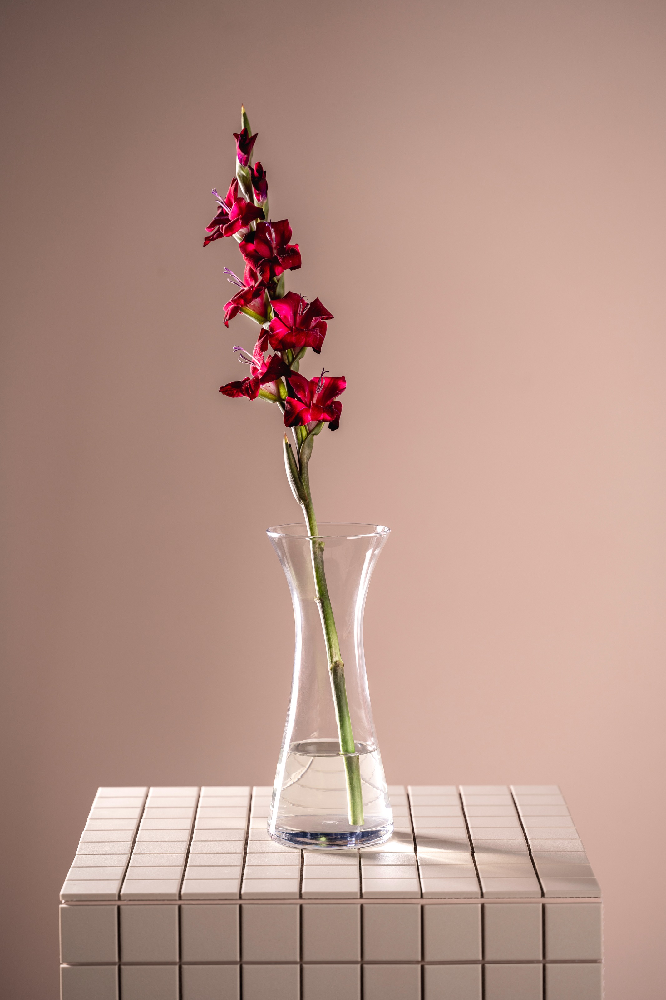 LEONARDO Dekovase »GK/Vase GIA«, (1 St.)