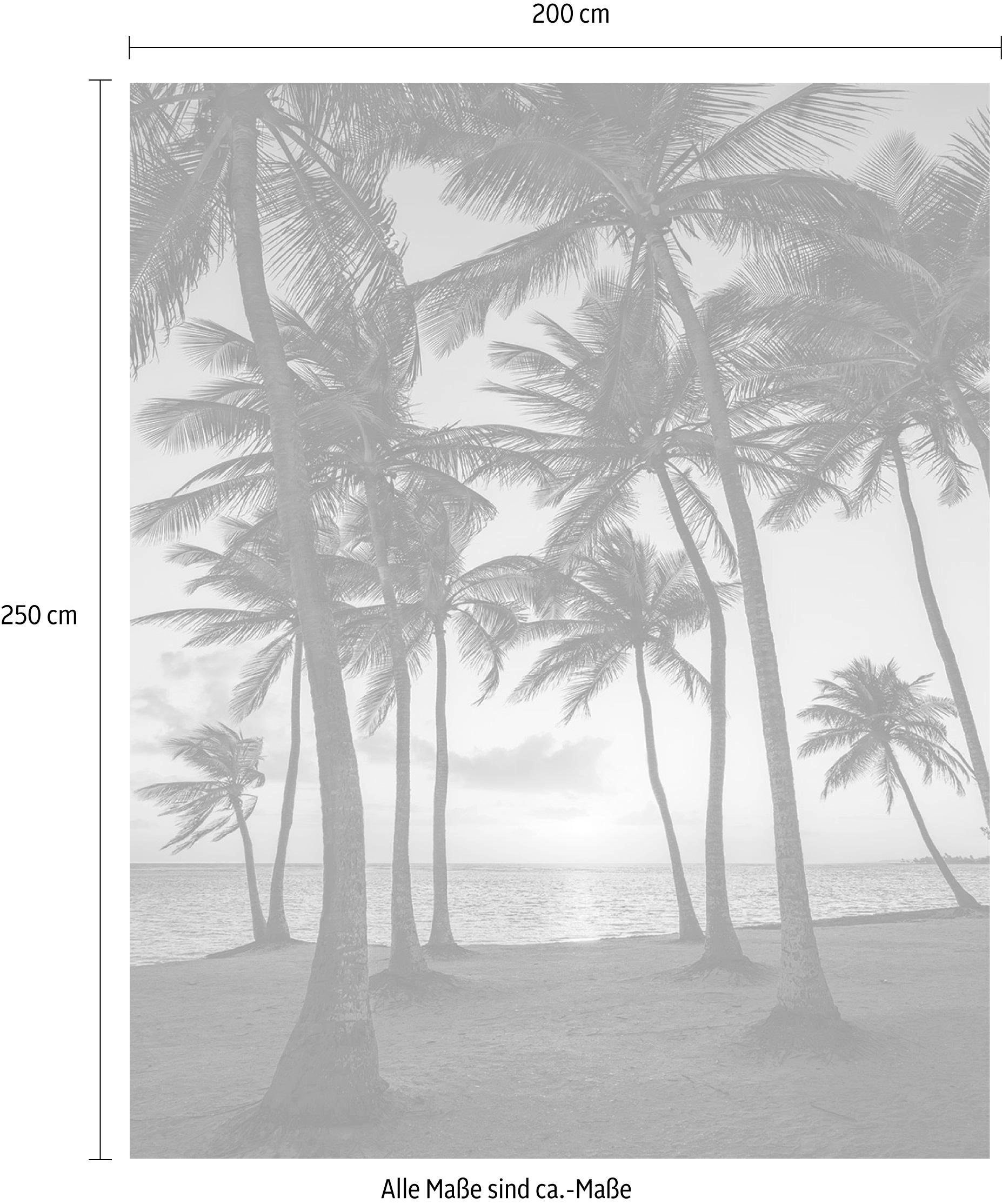 Komar Vliestapete »Digitaldruck Vlies -  Palmtrees on Beach - Größe 200 x 250 cm« bedruckt glatt Wohnzimmer, Schlafzimmer