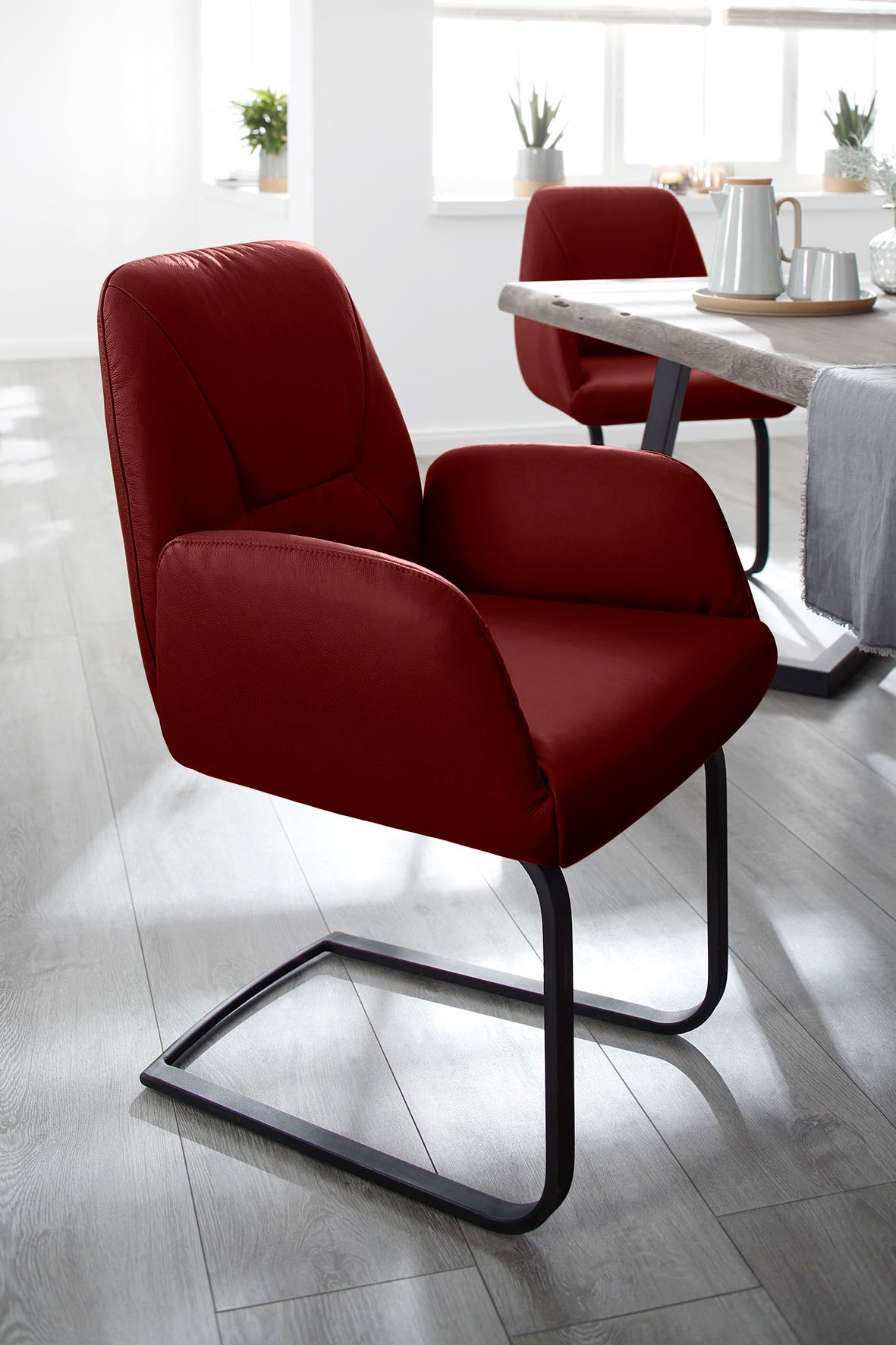 W.SCHILLIG Freischwinger »ole« (Set) 2 Stk.2er- oder 4er-Set, Gestell in Schwarz pulverbeschichtet