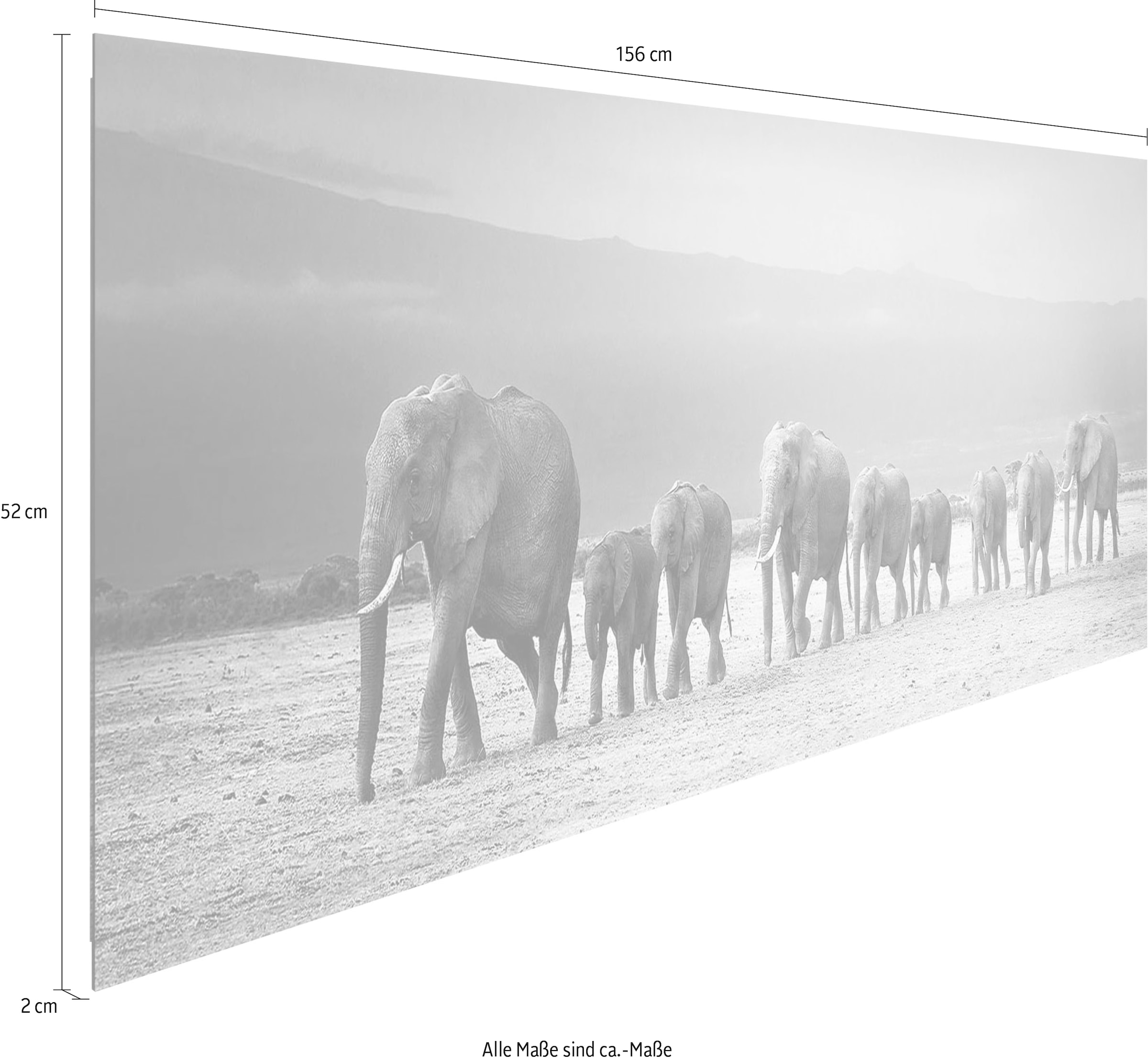 Reinders! Holzbild »Deco Panel 52x156 Line bestellen bequem of Elephants«