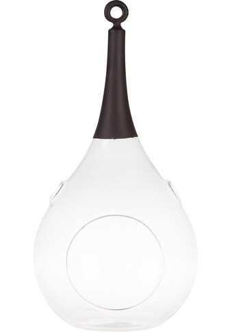 SOMPEX Windlicht »TAURA«, (1 St.), aus Glas, mundgeblasen, schwarz kaufen