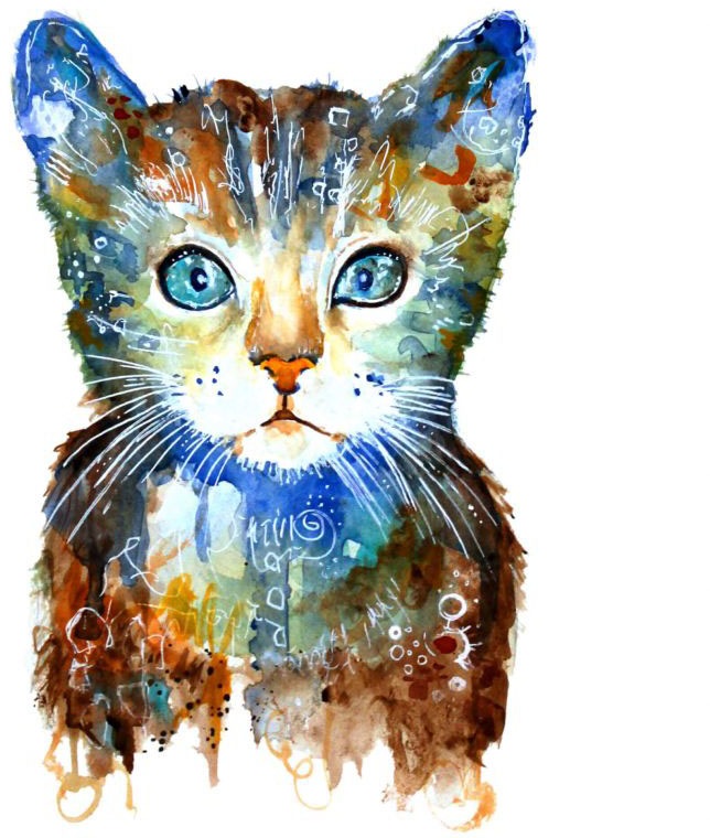 Wall-Art Wandtattoo »Lebensfreude - Kleine Katze«, (1 St.) kaufen