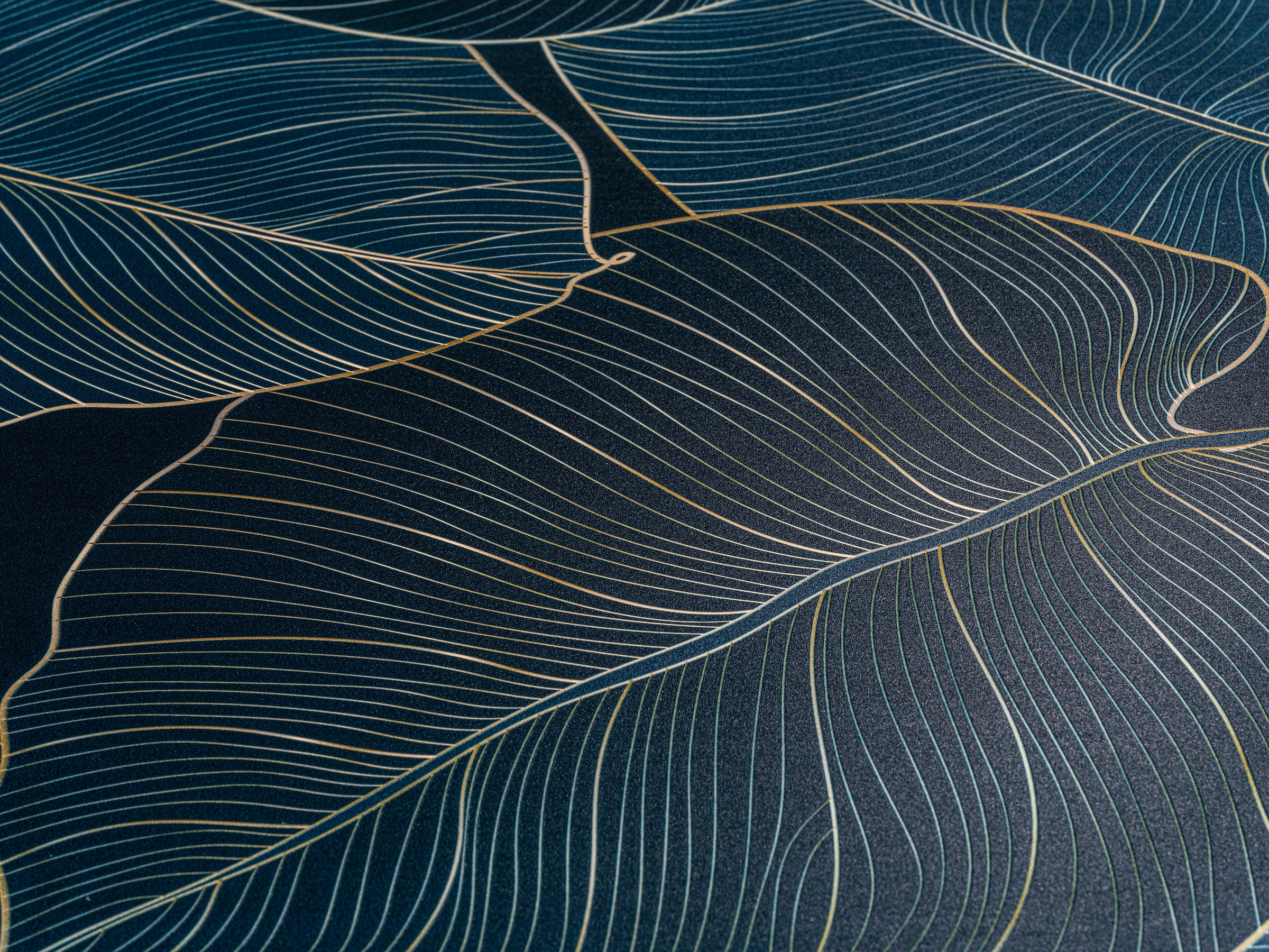 WENKO WC-Sitz »Big Leaves« mit Relief, aus antibakteriellem Duroplast