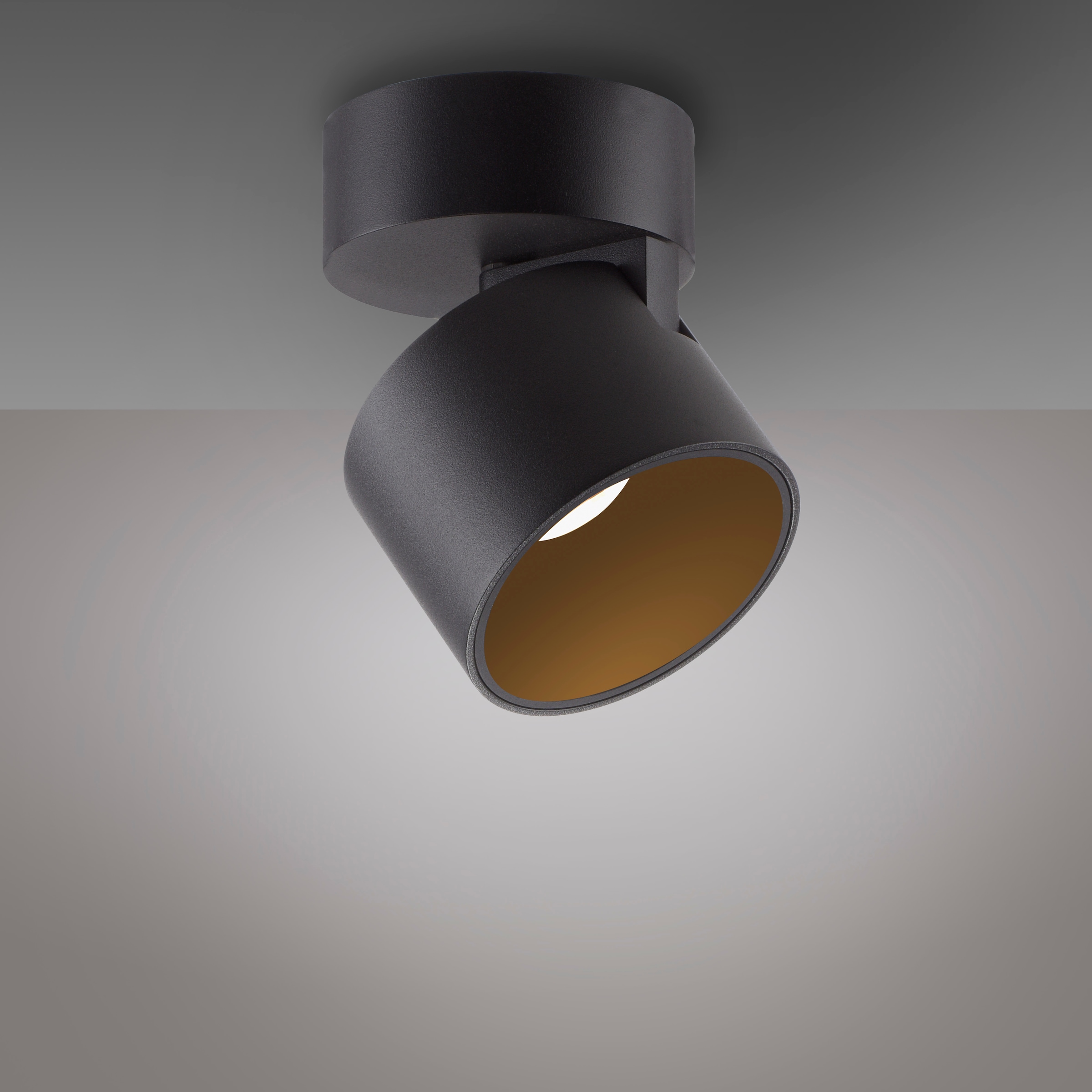 Neuhaus PURE LED Deckenleuchte »PURE Cup« LED-Board 1 Stk. Warmweiß Dimmfähig über separaten Tronicdimmer, dreh- & schwenkbar