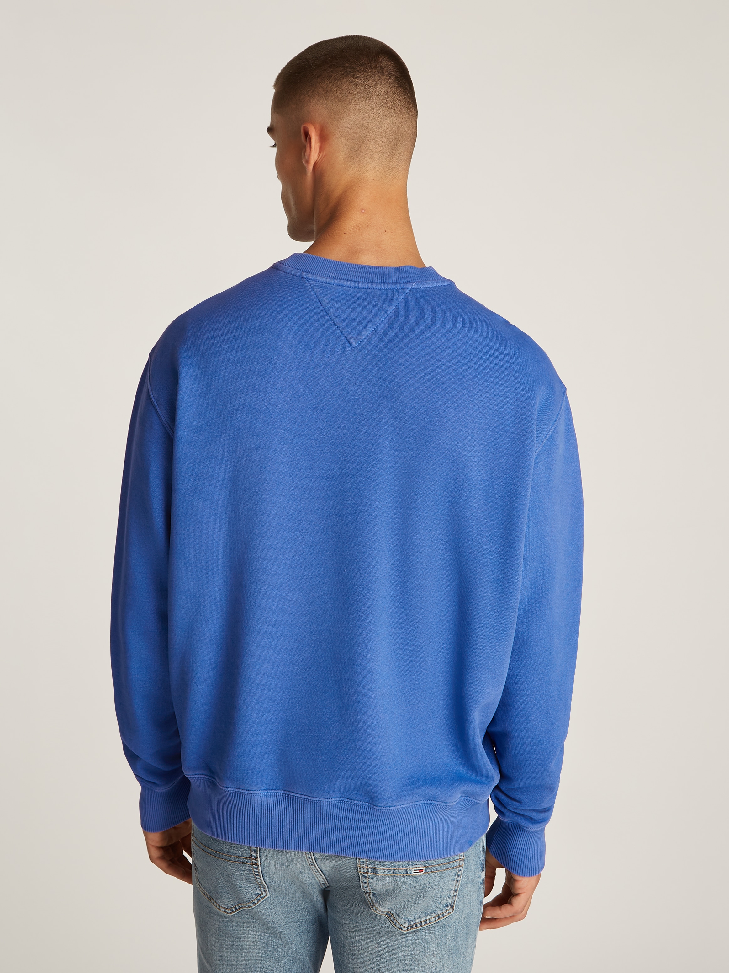 Tommy Jeans Sweatshirt »TJM RLX VINTAGE VARSITY CREW«, mit großem Logo