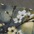 grau/Blumenmuster grün