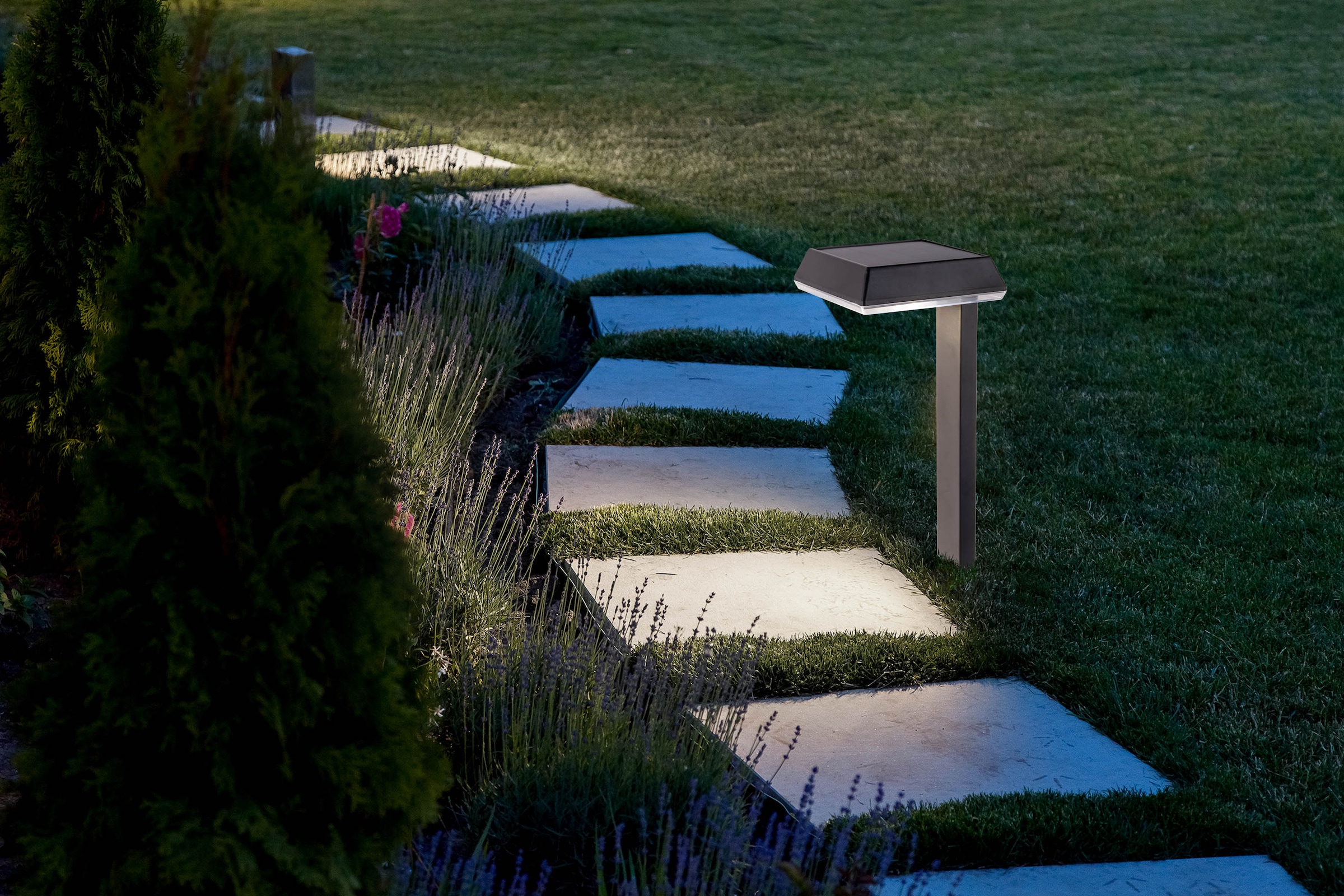 näve LED Solarleuchte »Sigi« LED-Modul 1 Stk. Warmweiß Dekoerdspieß, H: 79cm, Dämmerungssensor, schwarz, LED warmweiß