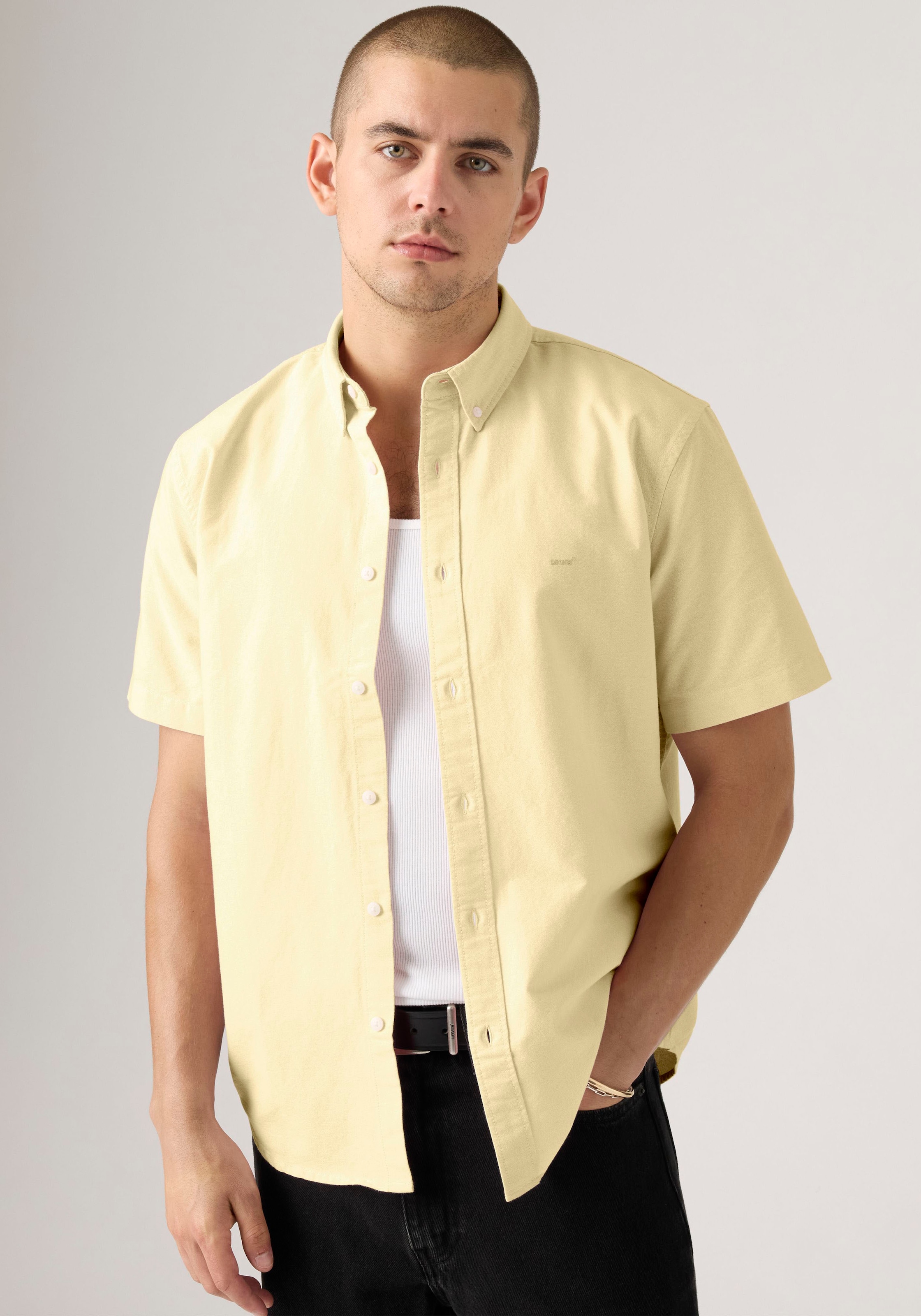 Levi's® Kurzarmhemd »SS AUTHENTIC BUTTON DOWN« mit kleiner Logostickerei auf der Brust