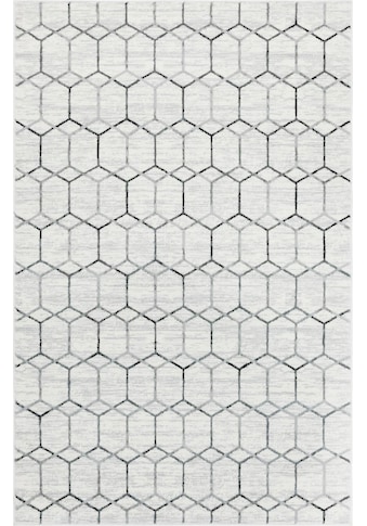 Teppich »Titan Trellis«, rechteckig