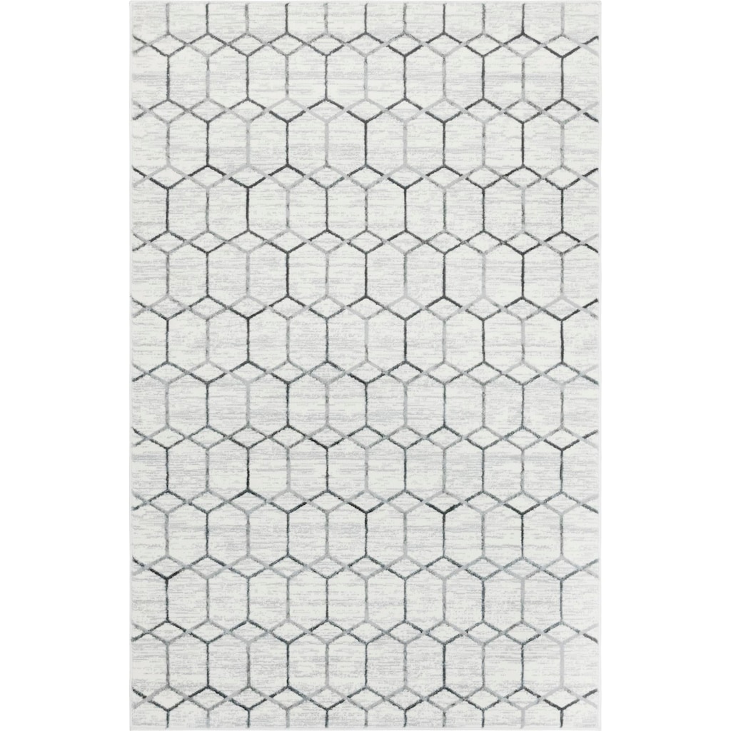 Myflair Möbel & Accessoires Teppich »Titan Trellis«, rechteckig