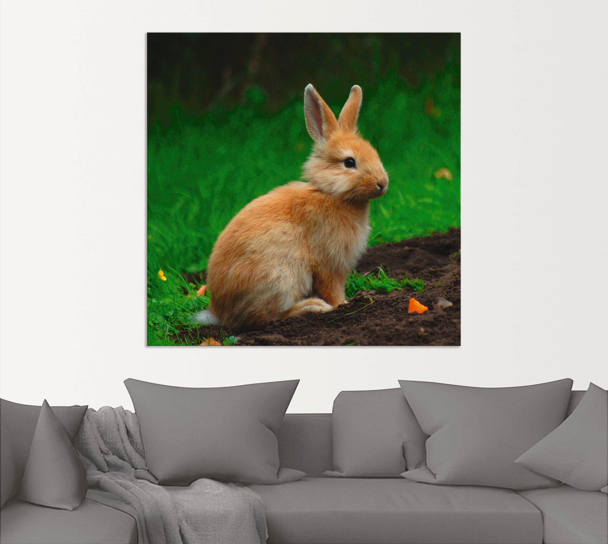 Artland Wandbild »Zwergkaninchen im Grünen«, Wildtiere, (1 St.), als Alubild, Leinwandbild, Wandaufkleber oder Poster in versch. Größen