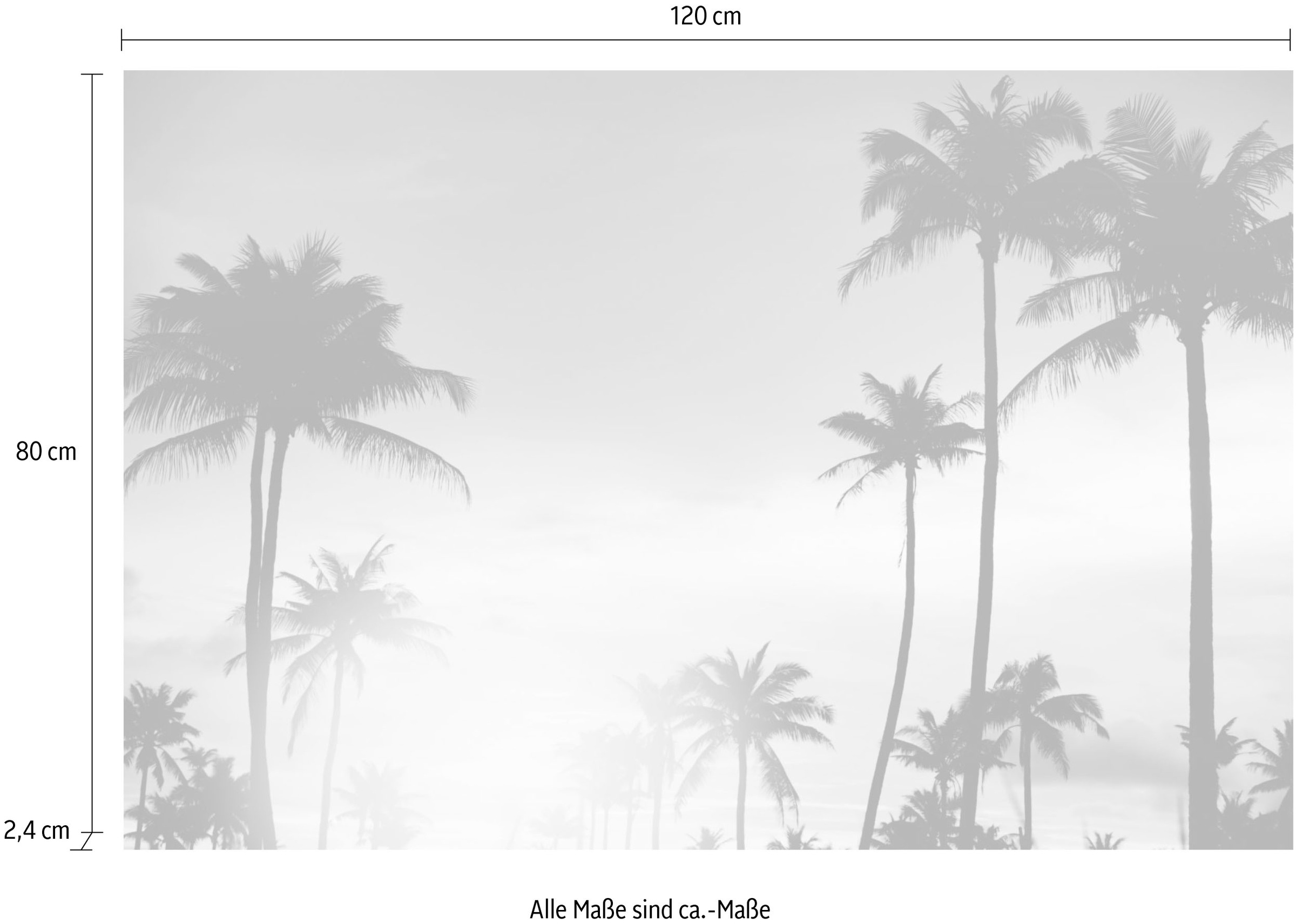 queence Acrylglasbild »Palmen im Sonnenuntergang« Amerika | Bilder von Amerika | Himmel | Himmelsbilder | Palmen Fine Art-Print in Galeriequalität