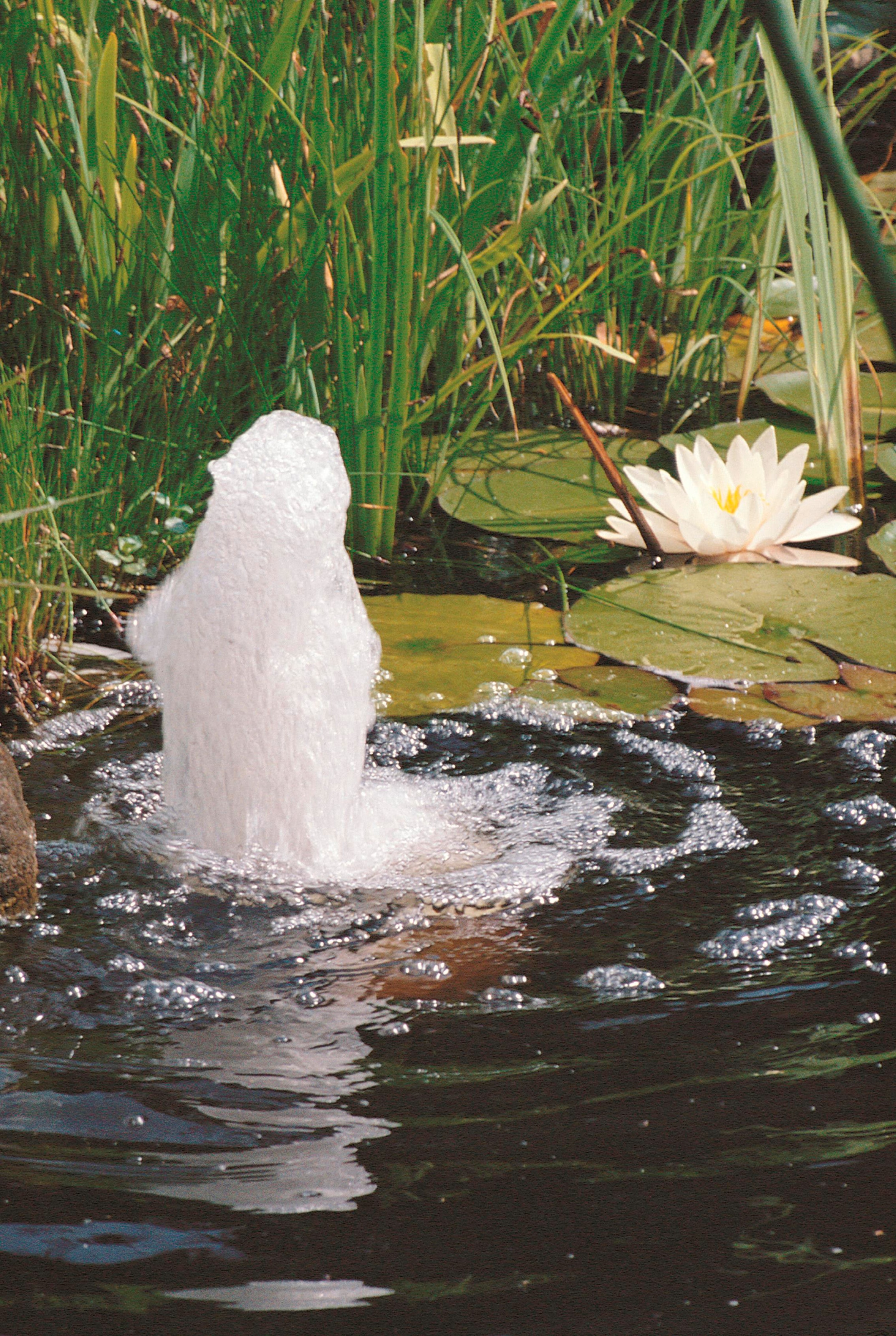 Ubbink Springbrunnenpumpe »Elimax 2000«, 2.200 l/h