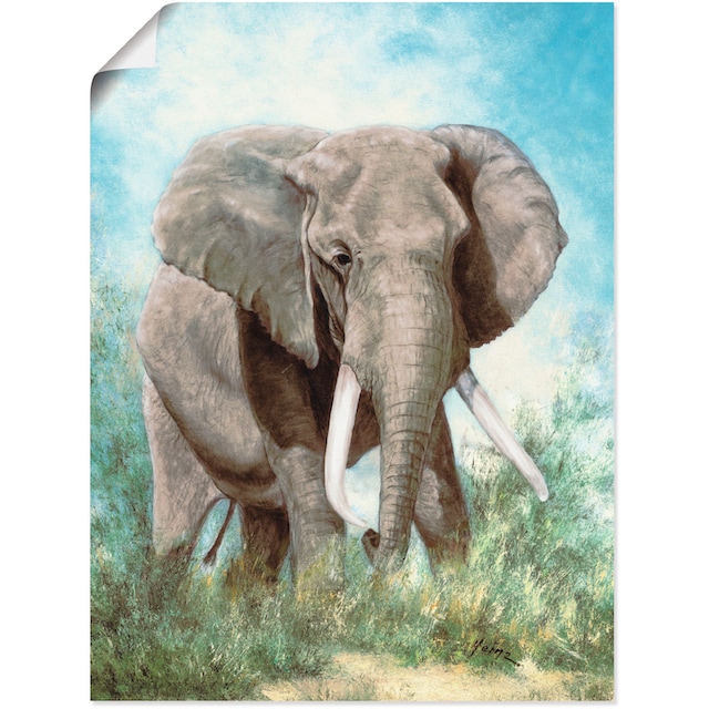 Artland Wandbild »Elefant«, Wildtiere, (1 St.), als Alubild, Leinwandbild,  Wandaufkleber oder Poster in versch. Größen bequem bestellen