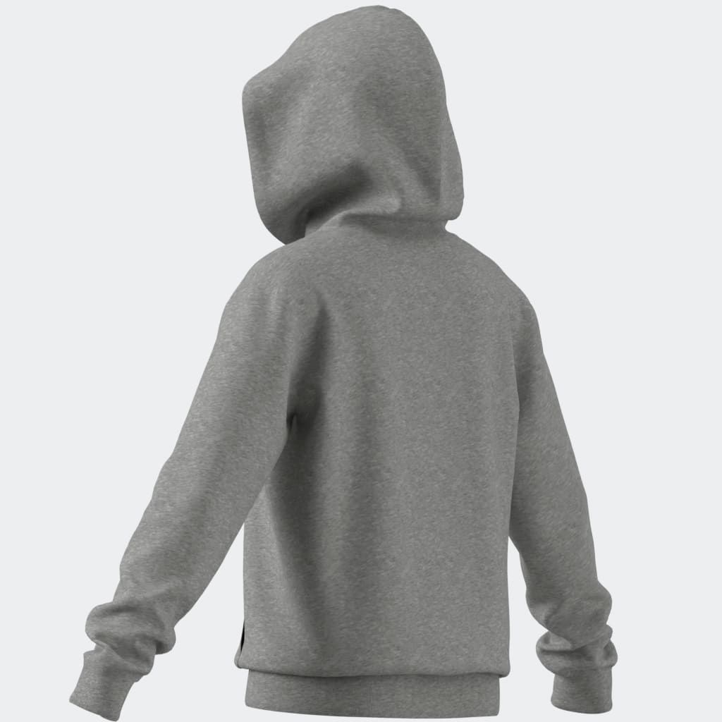 adidas Sportswear Kapuzensweatshirt »SEASONALS ESSENTIALS COLLEGIATE TYPOGRAPHY FULL-ZIP HOODIE KIDS«
