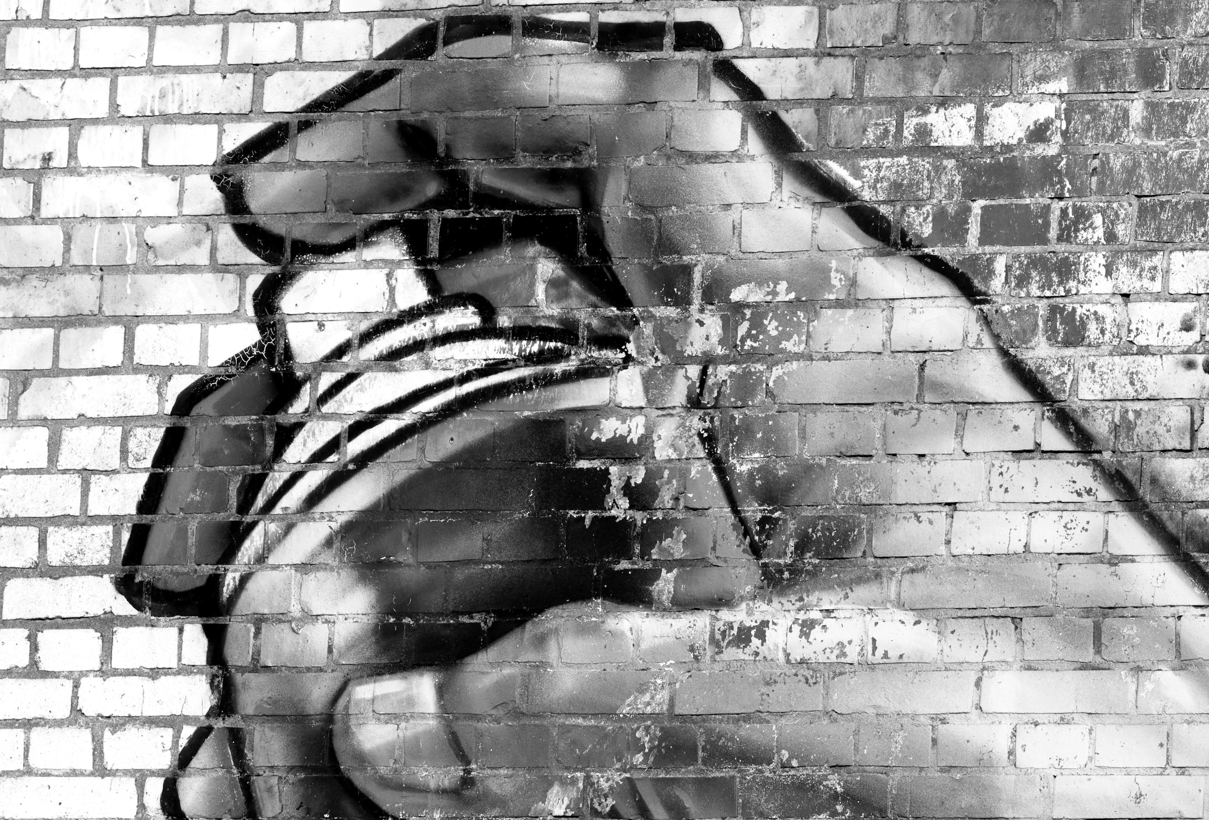 Papermoon Fototapete "Graffiti Schwarz Weiß"