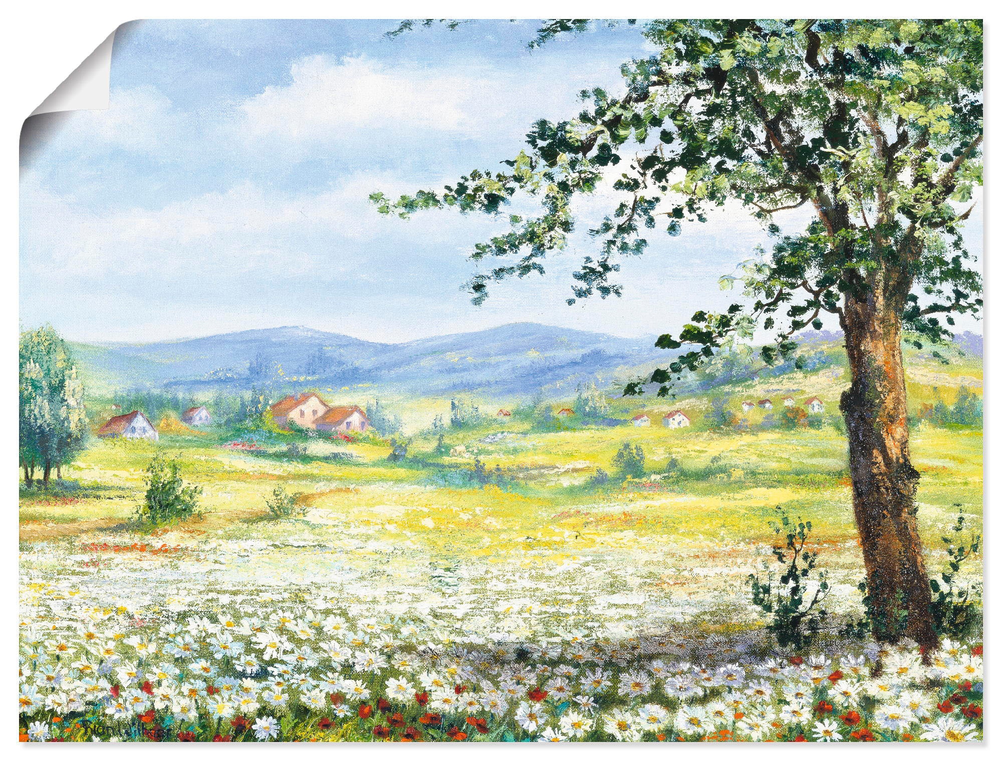 Artland Wandbild »Margeritenfeld«, Wiesen & Bäume, (1 St.), als Leinwandbild,  Wandaufkleber oder Poster in versch. Größen bequem bestellen